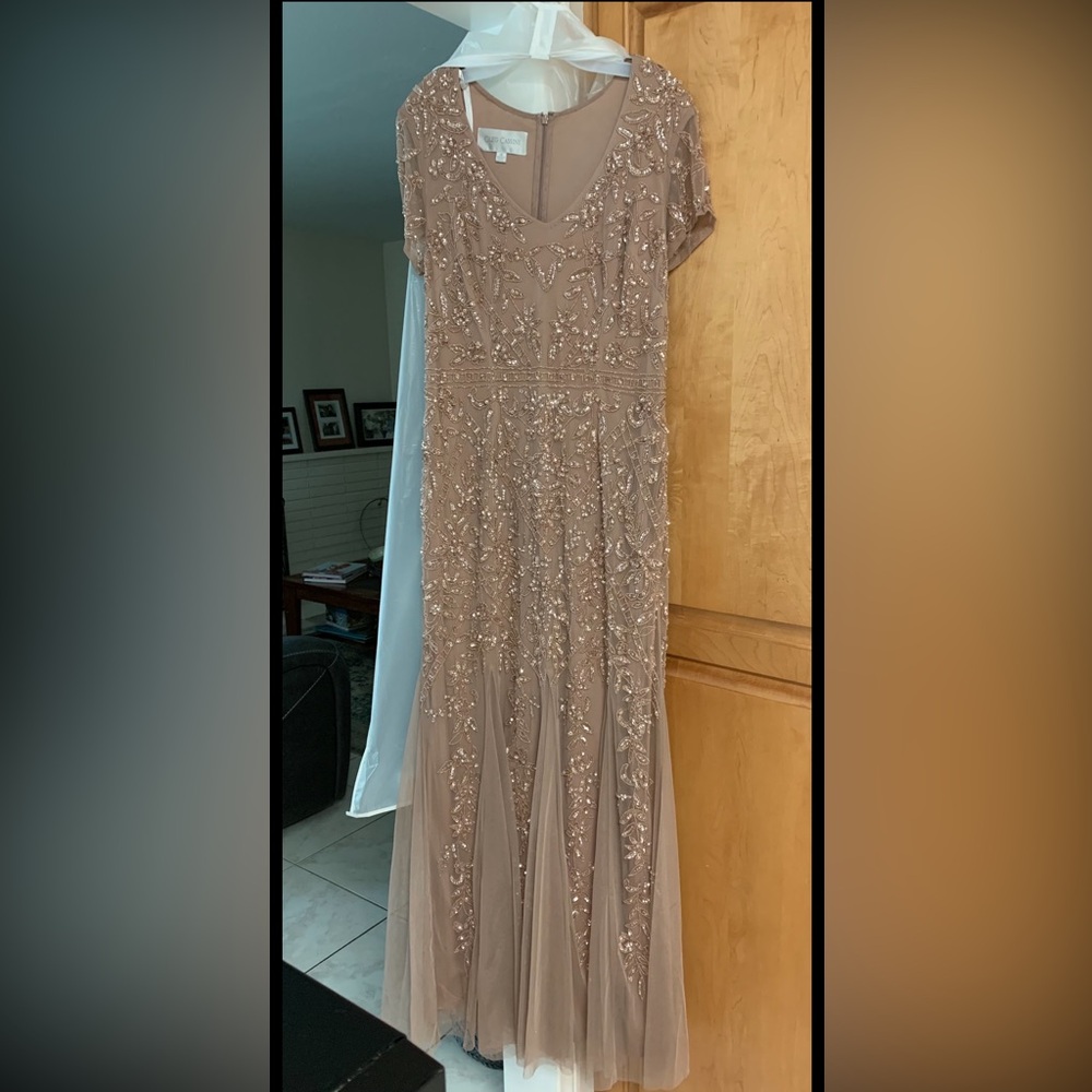David’s Bridal Dress